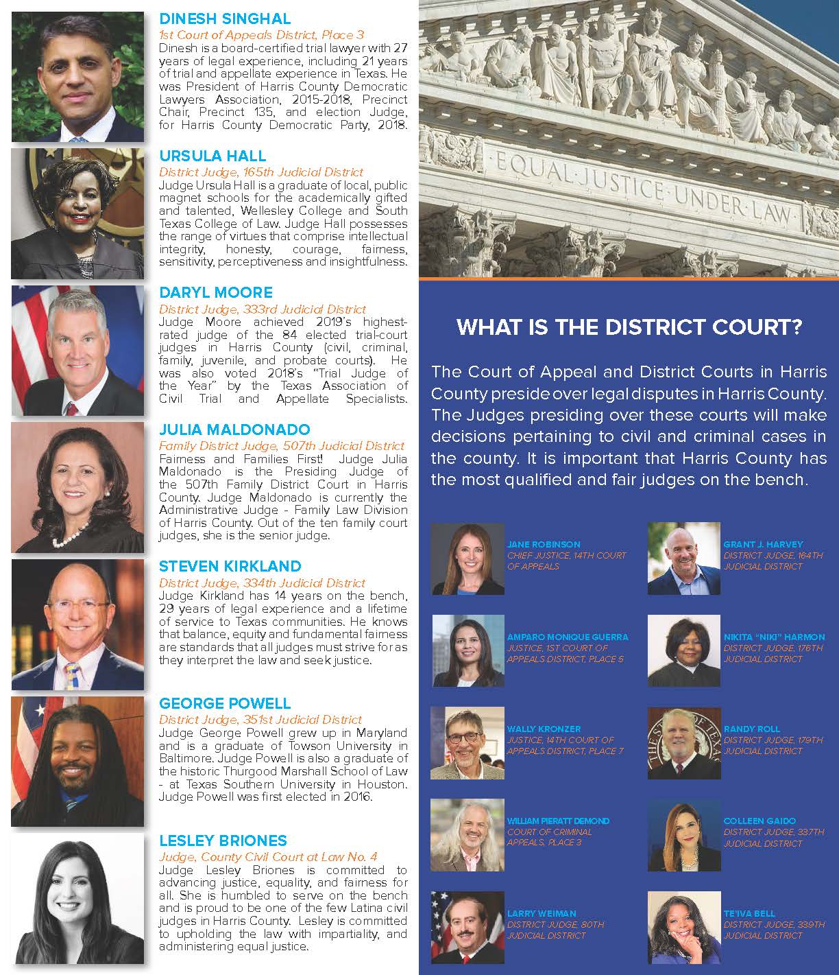 Harris County 2020 Democratic Primary Progressive Voters Guide - Page 6 & 7